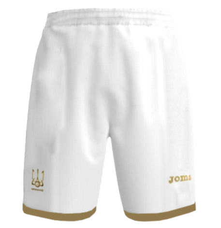 

Шорты Joma сборной Украины FFU105022.18 цвет: белый, размер S