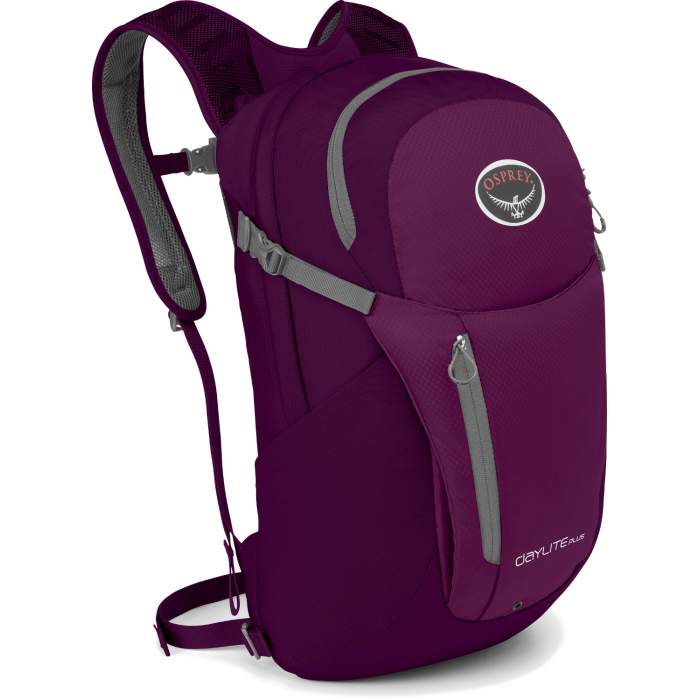 

Рюкзак Osprey Daylite Plus (2020) фіолетовий