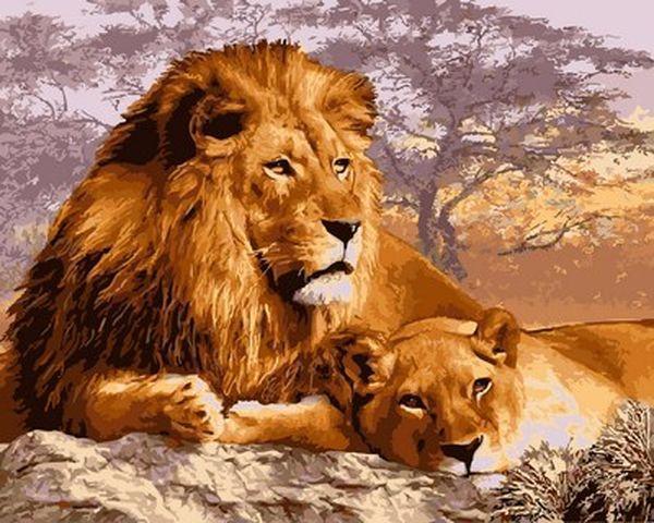 

Картина по номерам 40×50 см. Babylon Львиная пара (VP 992)
