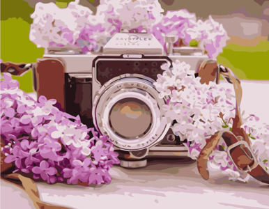 

Картина по номерам "Фотоаппарат с сиренью", в термопакете 40*50см (VA-1080)
