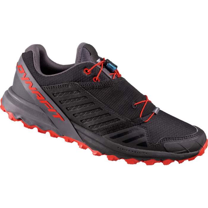 

Кросівки Dynafit Alpine Pro 44.5 чорний 0997