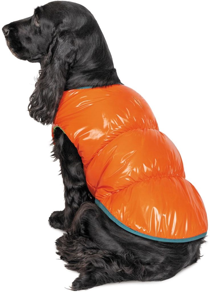 

Жилет Pet Fashion "SPRING" для собак размер SM, Оранжевый