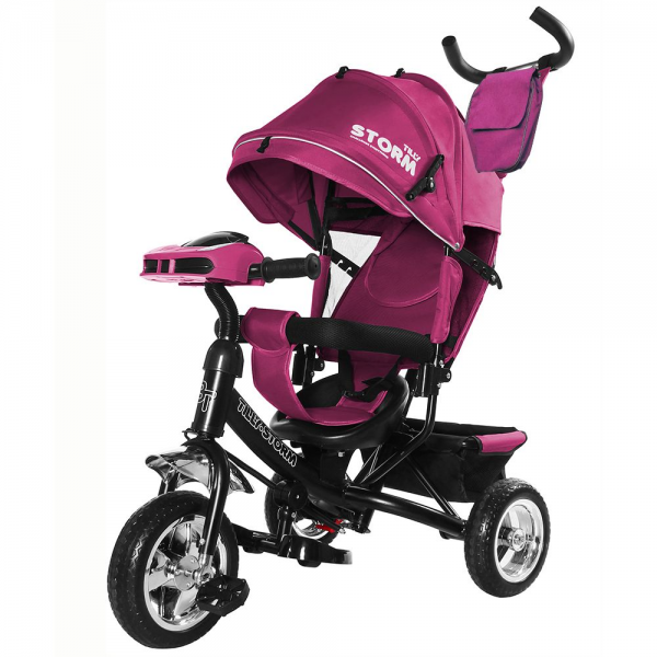 

Велосипед TILLY STORM T-349/2 Фиолетовый (F00240256)