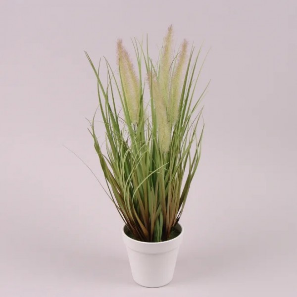 

Растение в горшке Flora 26793 45 см