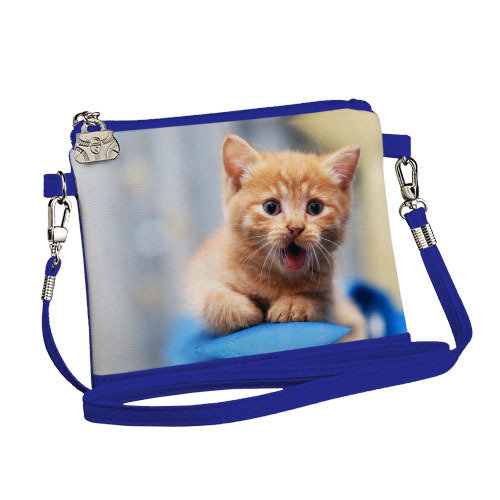 

Сумка для девочки Little fairy Presentville Рыжий котенок 18x14 см