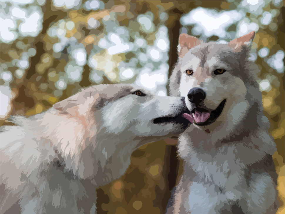 

Картина по номерам ART CRAFT 11605 40*50 см Больше чем дружба