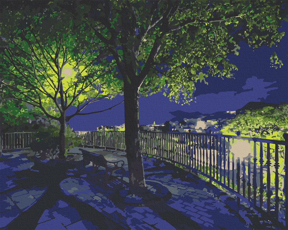 

Картина по номерам ART CRAFT 10532 38*50 см Ночной парк