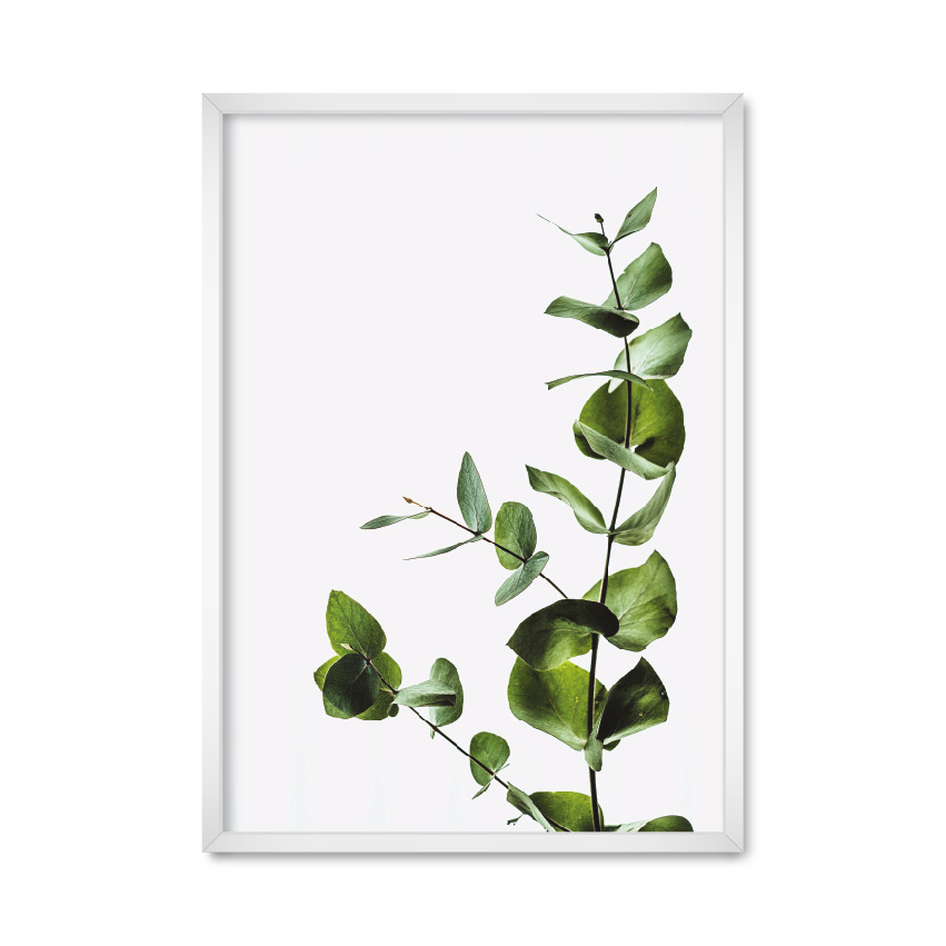 

Постер "Minimalist plant" с антибликовым стеклом 59.6 x 84 см в чёрной рамке