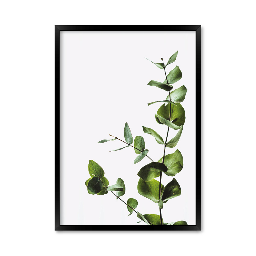 

Постер "Minimalist plant" без стекла 59.6 x 84 см в чёрной рамке