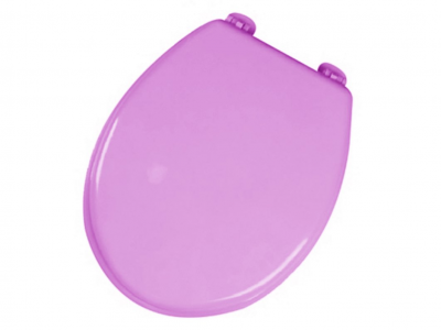 

Сиденье для унитаза Bathlux Flor de clasico 50139 (SKL11-132587)