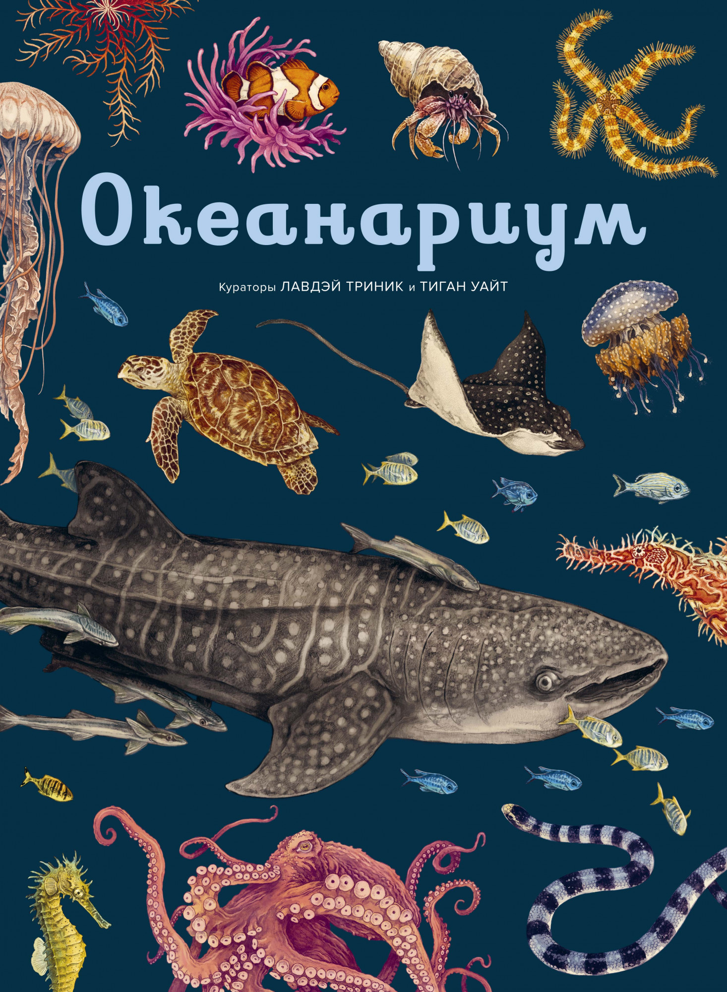 

Океанариум
