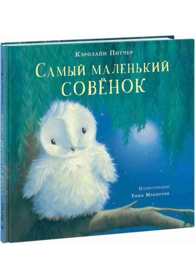 

Самый маленький совёнок