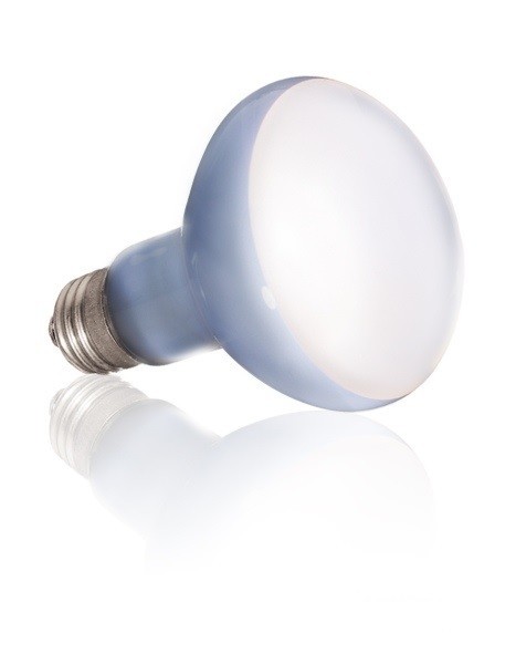

Лампа Hagen Exo Terra Daylight Bascing Spot Lamp R25/100W E27 (PT2133)