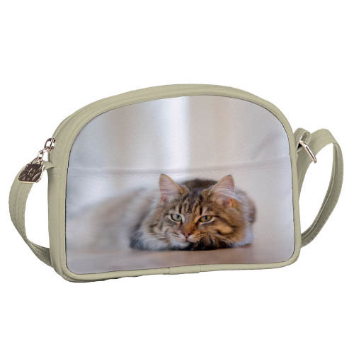 

Сумка для подростков Junior girl Presentville Кот 20x14 см