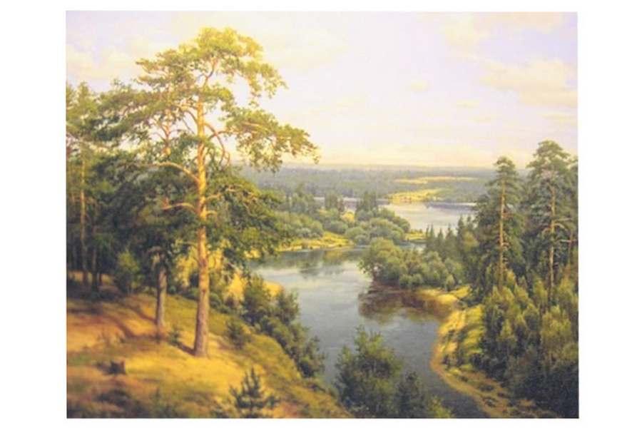

Картина за номерами ООПТ Пейзаж 40*50см