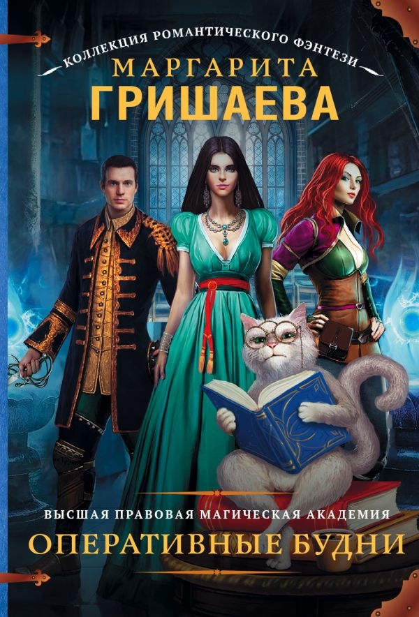 

Высшая правовая магическая академия. Оперативные будни