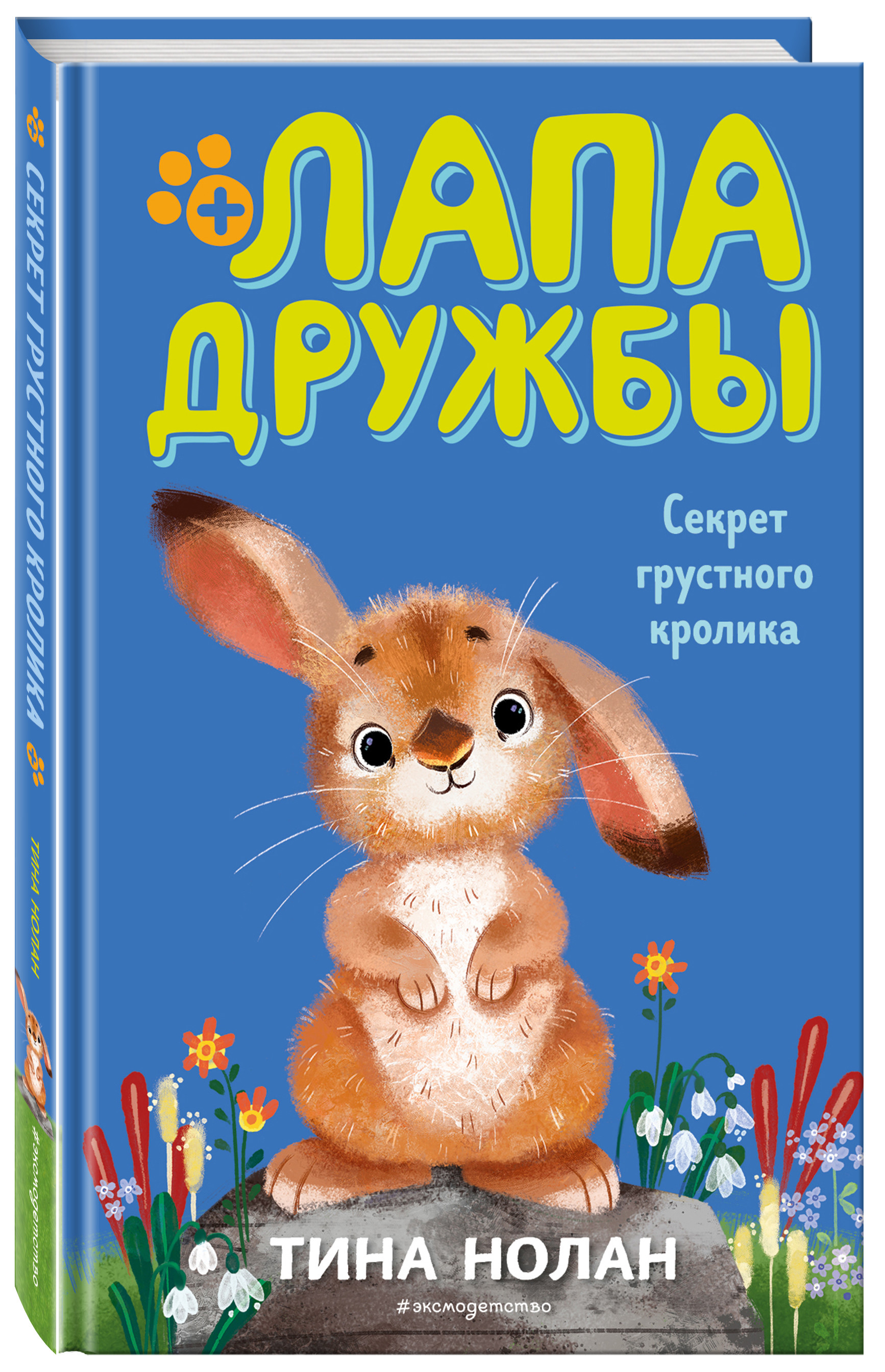 

Секрет грустного кролика (18395902)