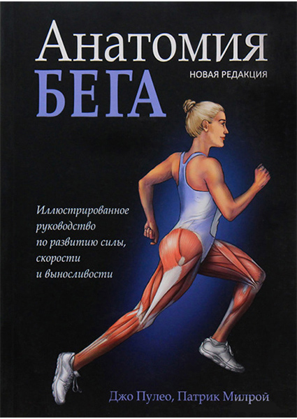 

Анатомия бега 89177
