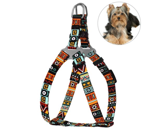 

Шлея для Собак Мелких Пород и Котов BronzeDog Urban Этническая Ментоловая 28-40 см (69/1383)