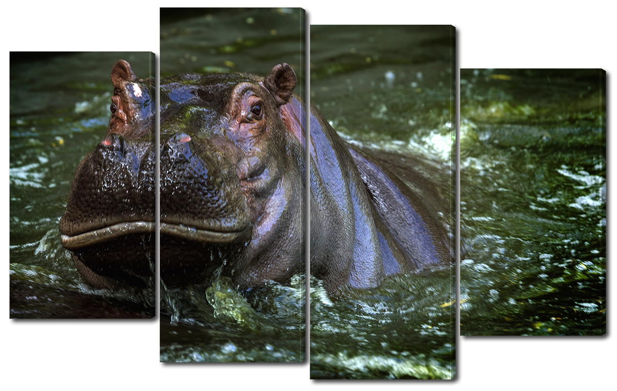 

Модульная картина Interno Эко кожа Бегемот в воде 114х69см (A1708М)