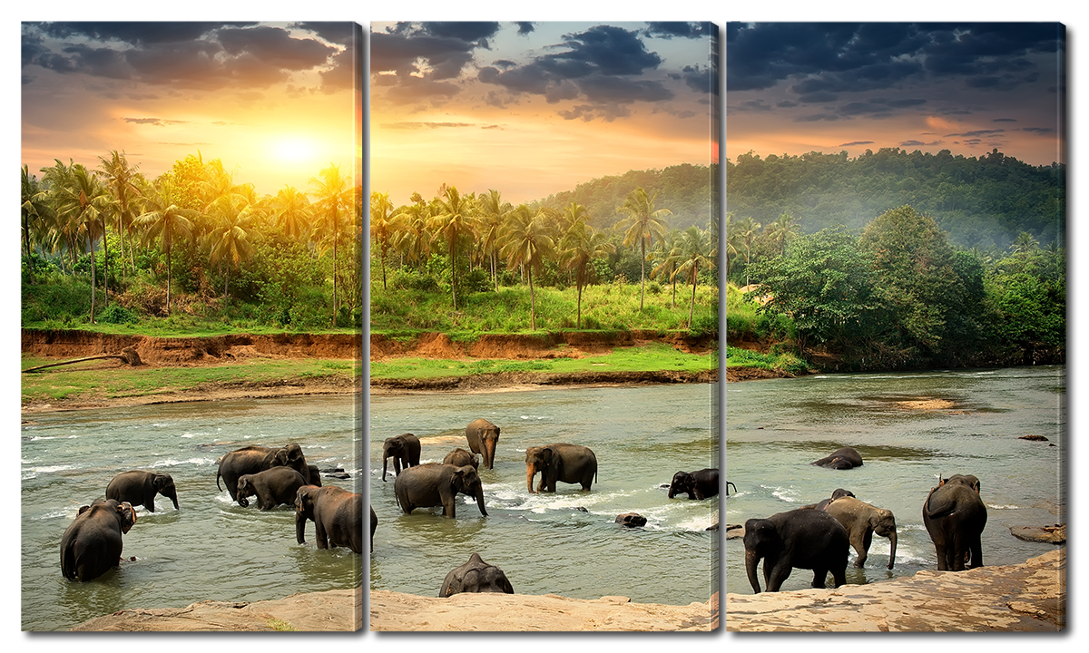 

Модульная картина Interno Холст Слоны на водопое 124х70см