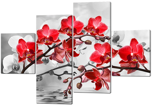 

Модульная картина Interno Холст Орхидея красная 146х100см