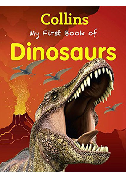 

My First Book of Dinosaurs 93996