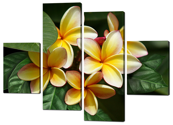 

Модульная картина Interno Искусственный холст Франжипани 106X77