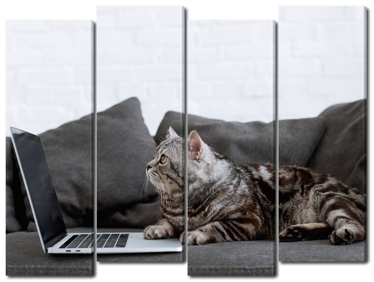 

Модульная картина Interno Холст Кошка на диване 104х79см