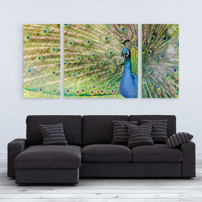 

Модульная картина GUS "Птицы, Павлины #18" 210x100см (XB071 - Модульные картины)