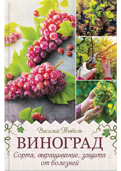

Виноград. Сорта, выращивание, защита от болезней 95212