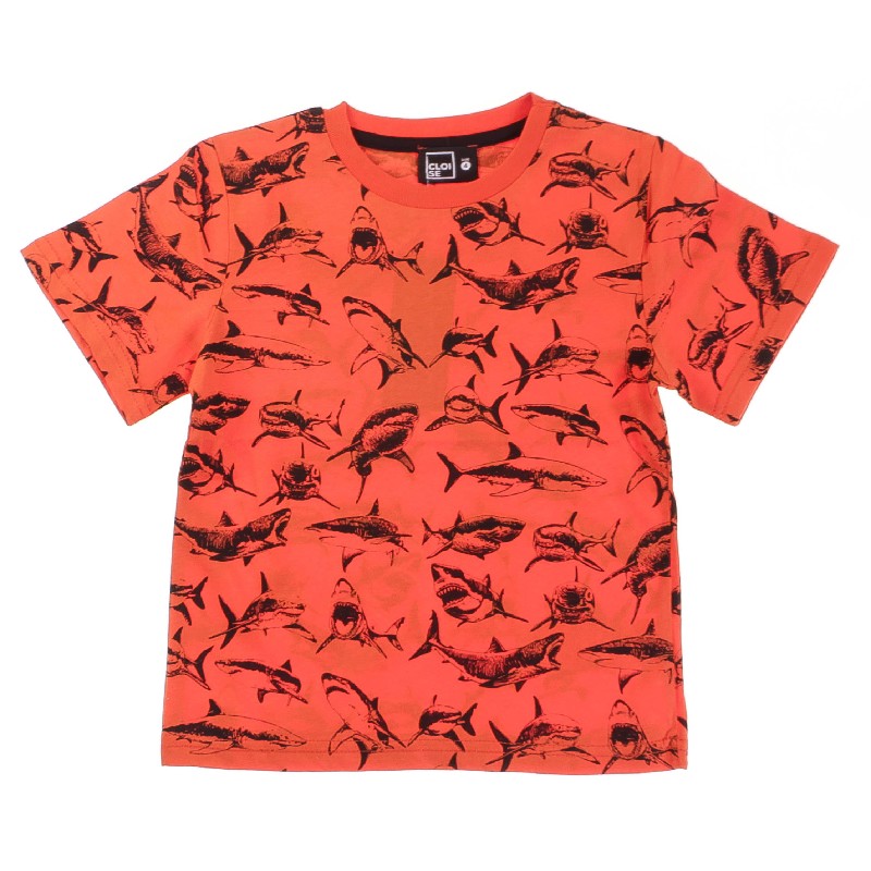 

Футболка для мальчика CLOISE CLO133005 146 см оранжевый (484382)