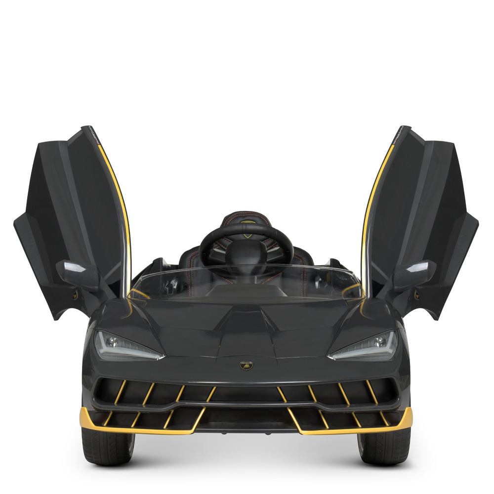

Машина на радиоуправлении Bambi (M4319EBLR-11)