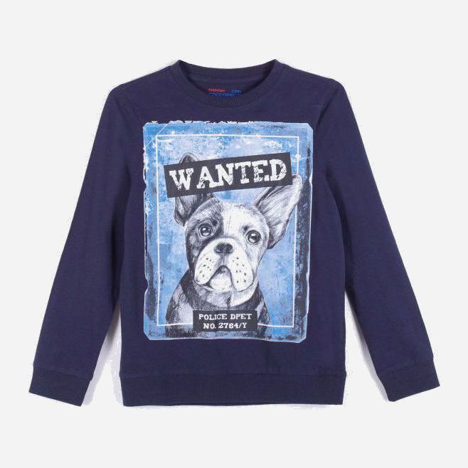 

Свитшот Coccodrillo Everyday Dog WC1143103EDG-015 128 см Синий