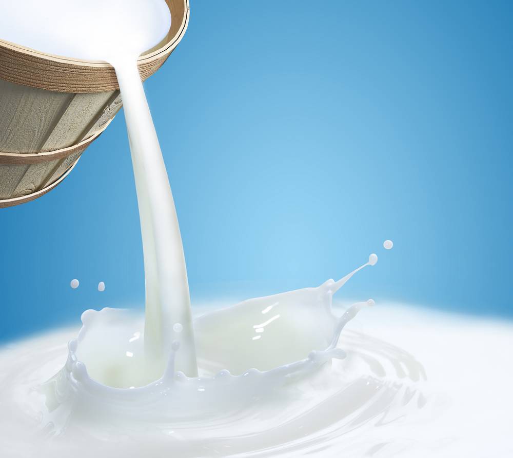 

Картина на холсте LaPrint Молочные продукты 120х120 см