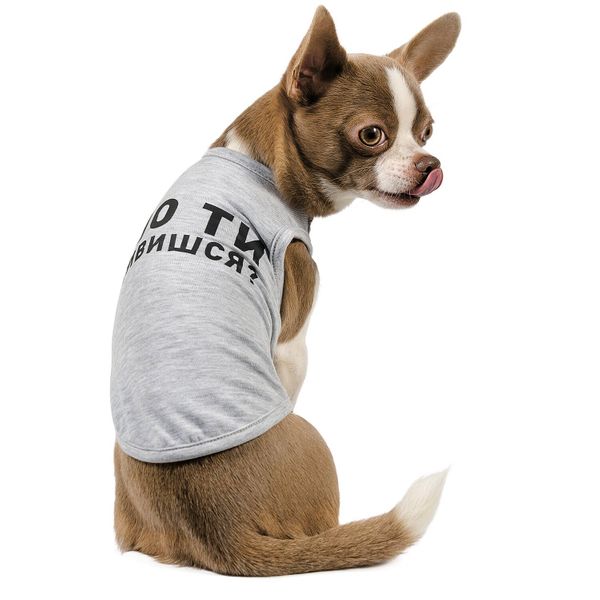 

Борцівка для собак Pet Fashion «Шо ти дивишся» M (сіра)
