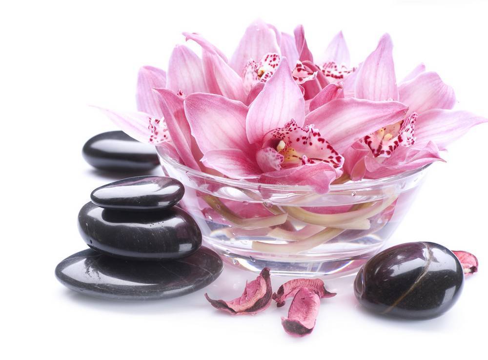 

Картина на холсте LaPrint SPA 90х60 см