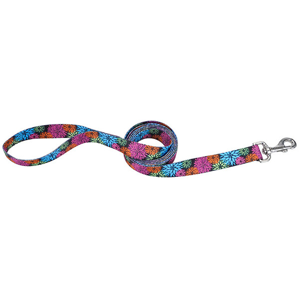 

Поводок для собак Coastal Pet Attire Style, дикие цветы, 2смх1,2м
