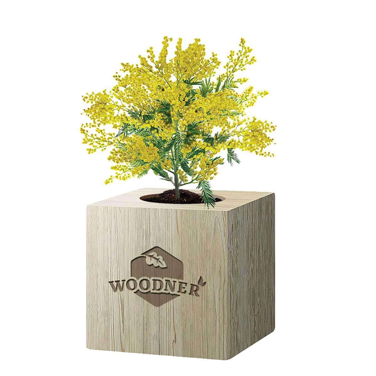 

Набор для выращивания Woodner «Солнечная Мимоза» (26650)
