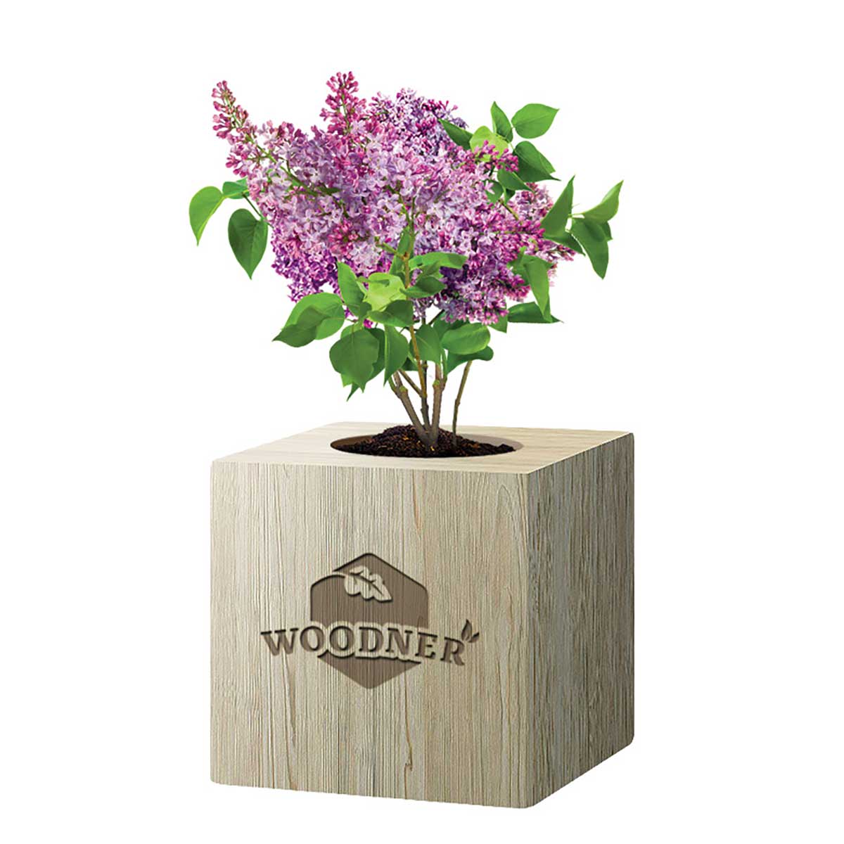 

Набор для выращивания Woodner «Романтичная Сирень» (26663)