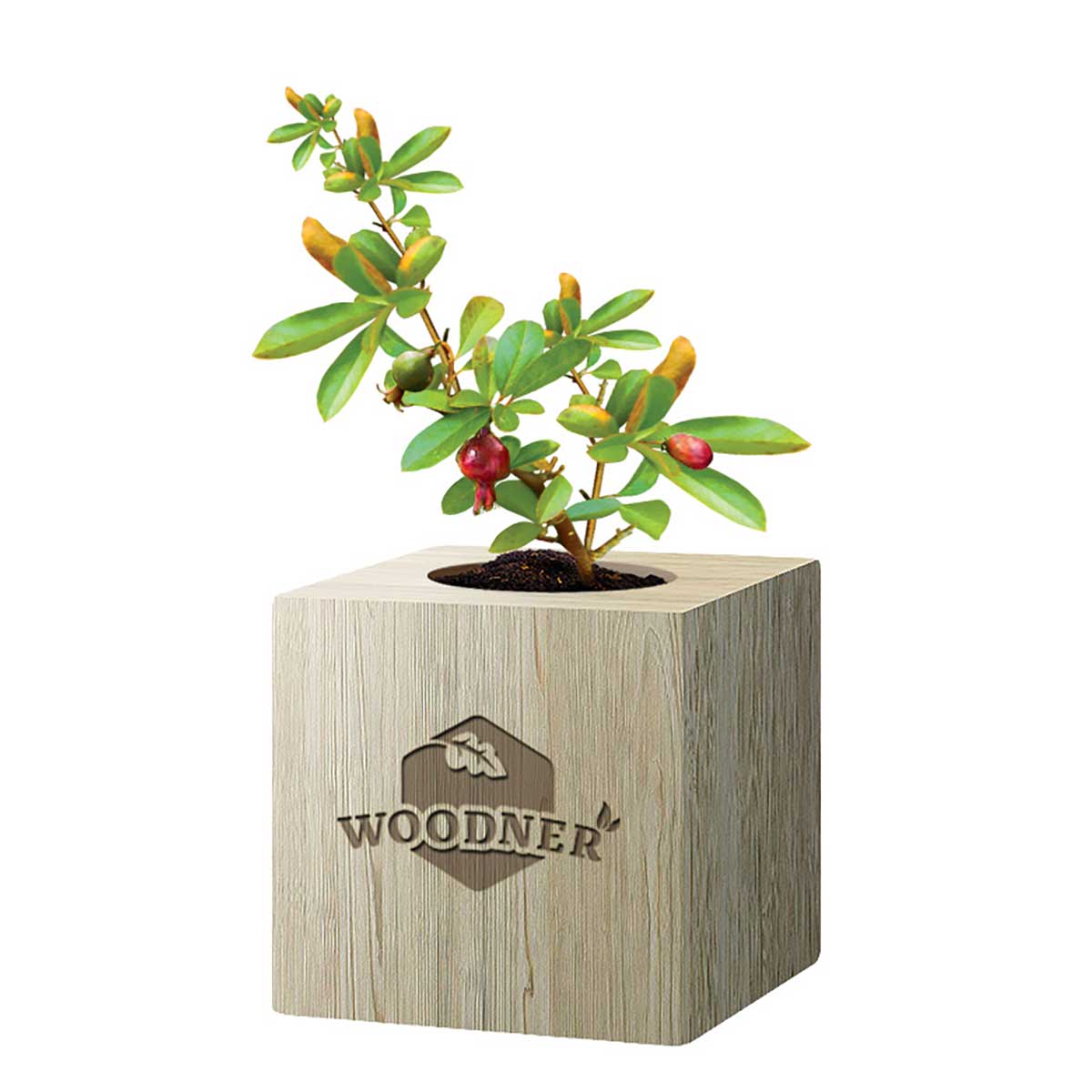 

Набор для выращивания Woodner «Гранат» (26655)