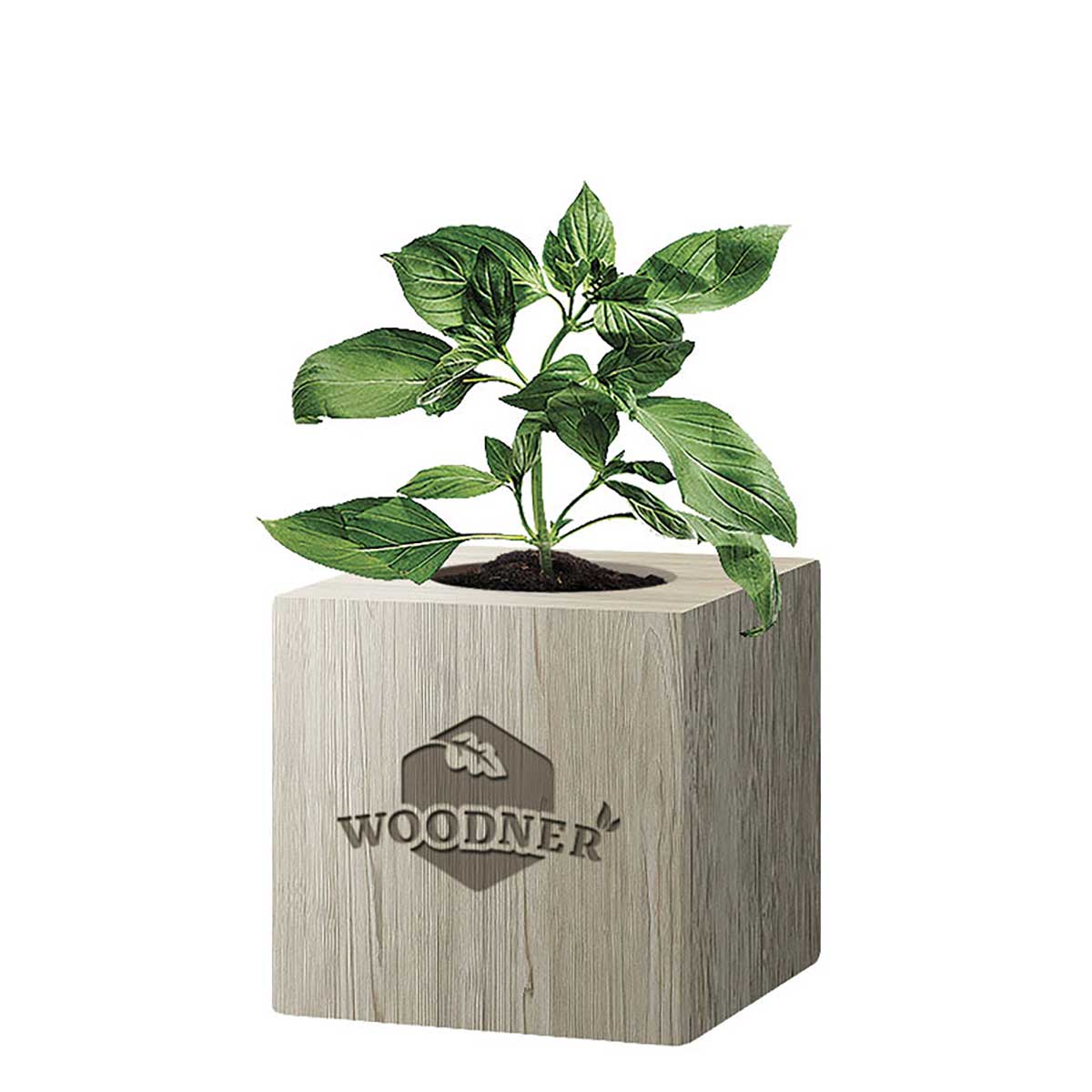 

Набор для выращивания Woodner «Няшный Базилик» (26661)