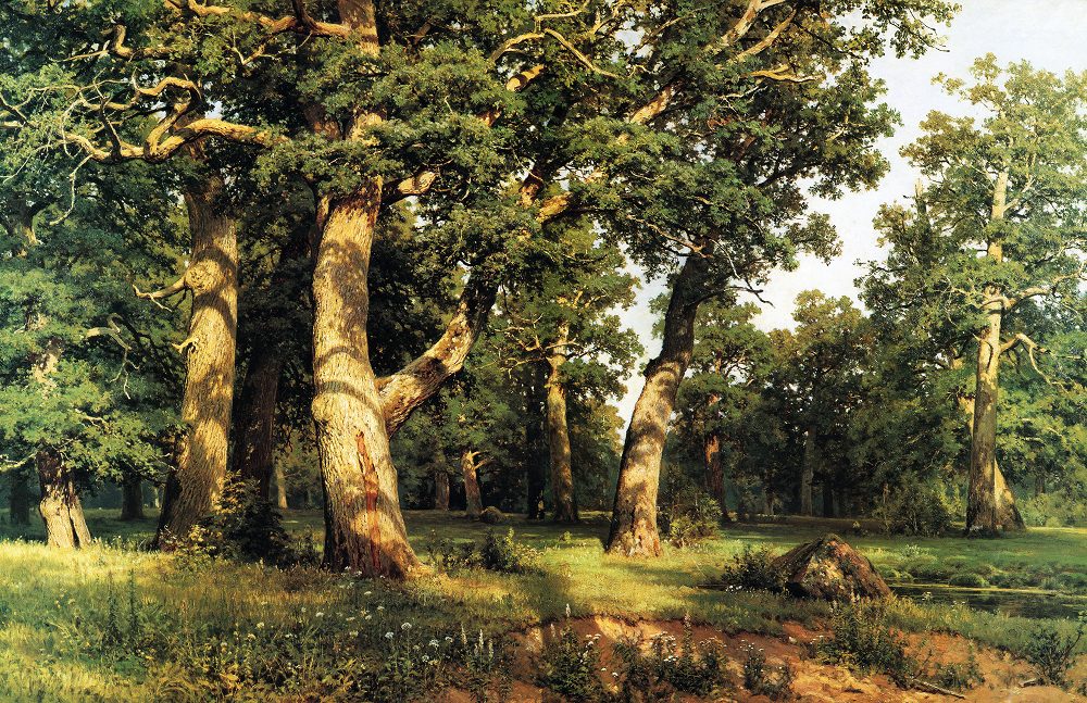 

Набор алмазной вышивки "Дубовая роща". Художник Shishkin Ivan
