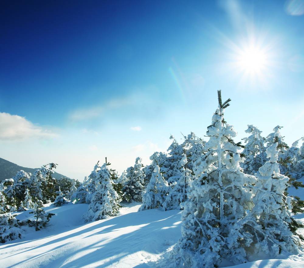 

Картина на холсте LaPrint Зима 90х90 см