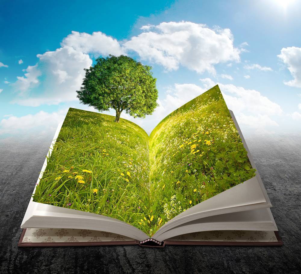 

Картина на холсте LaPrint Книги 90х90 см