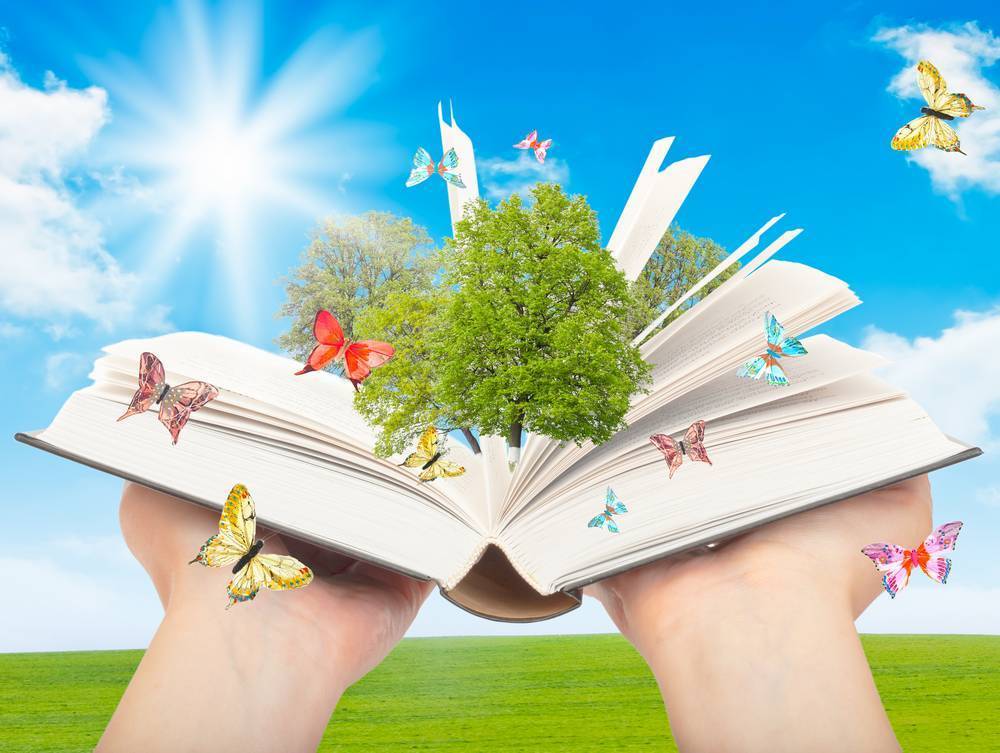 

Картина на холсте LaPrint Книги 90х60 см