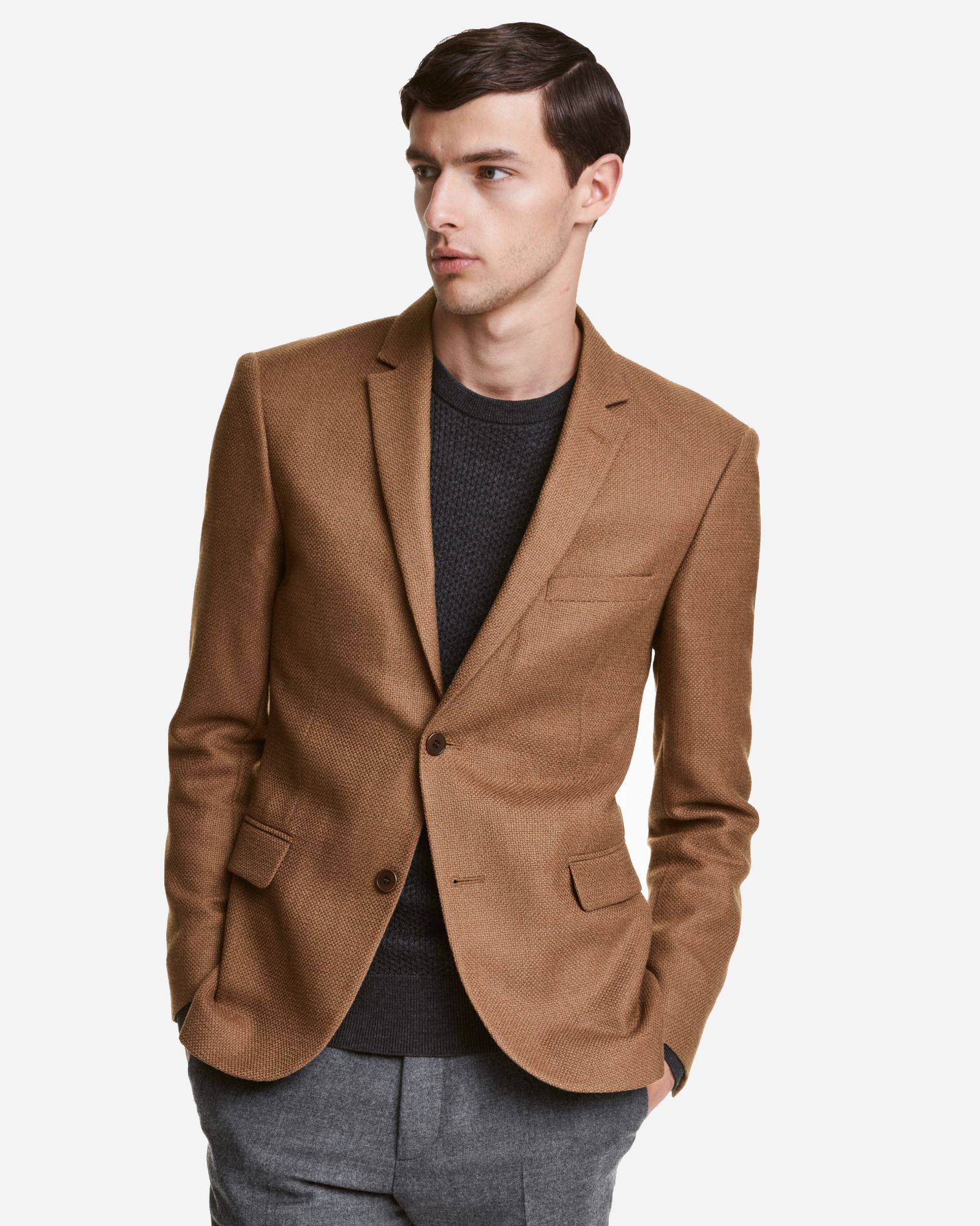 

Пиджак H&M 55035029_коричневый 58 Коричневый
