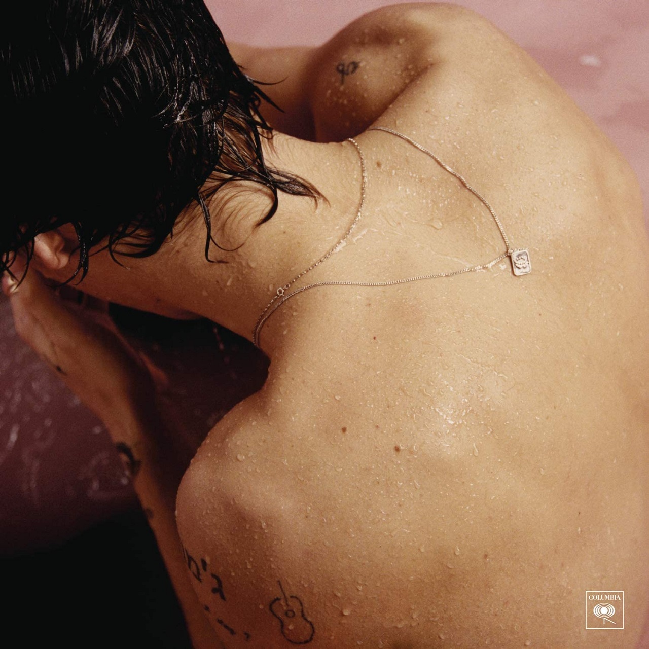 

Виниловая пластинка Harry Styles - Harry Styles