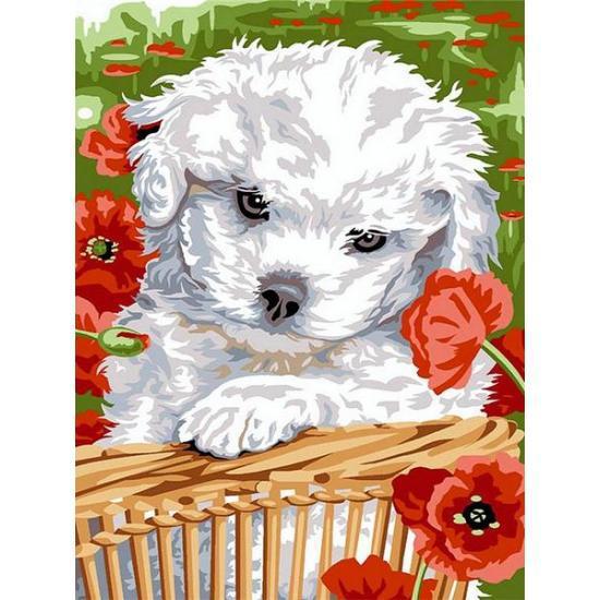 

Картина рисование по номерам Babylon Собачка в маках VK254 30х40см набор для росписи краски, кисти, холст