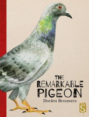 

The Remarkable Pigeon